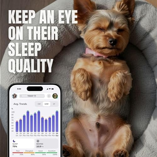 FitBark 2 Dog Activity Monitor | Health & Fitness Tracker for Dogs | Waterproof, Small & Leightweight (10 g) | Not a GPS Tracker thumbnail 4