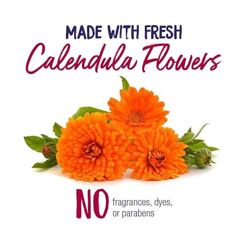 Boiron Calendula Cream for First Aid, Minor Burns, Cuts, Scrapes, Insect Bits and Sunburn - 2.5 oz thumbnail 4