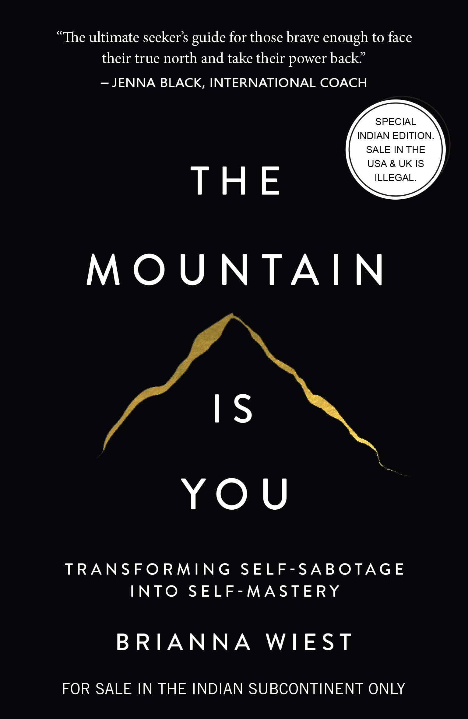 The Mountain Is You: Transforming Self-Sabotage Into Self-Mastery - Image 1