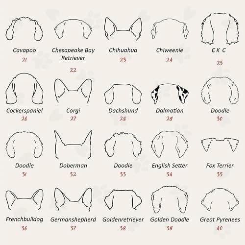 Dog Embroidered Sweatshirt thumbnail 4