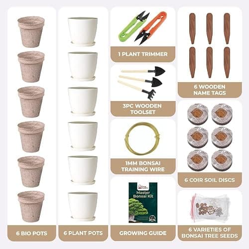 Master Bonsai Kit - Grow Buddha Bonsai Tree Growing Kit - Professional Growing and Styling Bonsai Set - Japanese Bonsai - Become Bonsai Master - Ideal Bonsai Tree Seed Kit for Indoor Garden Gardening thumbnail 2