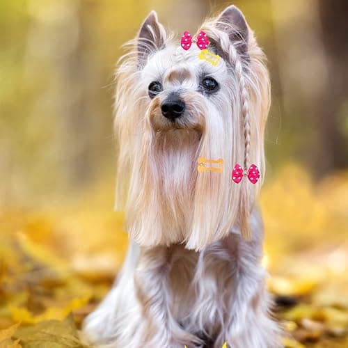 PET SHOW 50Pcs/25Pairs Hair Clips for Small Dogs Cute 1 Inch Puppy Barrettes Mini Bone Shaped Snap Hair Bows Pet Grooming Hair Accessories for Dog Cat thumbnail 7