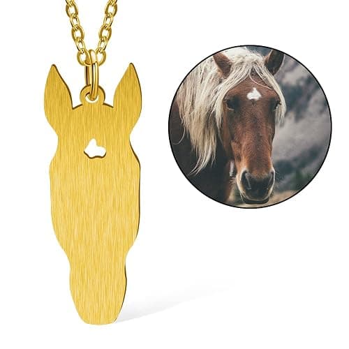 Ailin Custom Sterling Silver 925/Stainless Steel Personalized Horse Head Silhouette Pendant Necklace For Her Horse Keepsake Memorial Necklace thumbnail 2