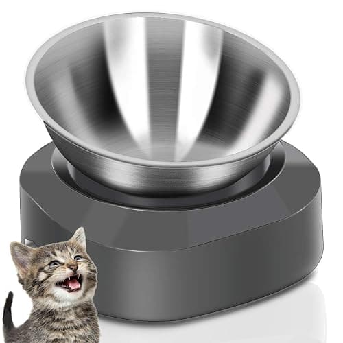 AYADA Raised Cat Food Bowl, Stainless Steel Cat Dish for Food Water Anti Vomiting Elevated with Stand Ergonomic Lifted Slanted Tilted 15 Angle Metal Single Kitty Kitten Wet Food Bowl Pet Bowl - Image 1