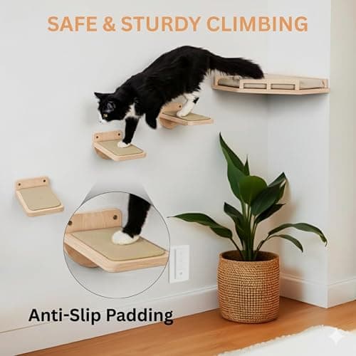 INICIO Cat Wall Shelves - Safe and Sturdy Cat Wall Furniture - Stylish Natural Wood Corner Shelf with 3 Steps for Cats up to 15lbs - Cushioned Perch and Stairs for Climbing and Playing thumbnail 7
