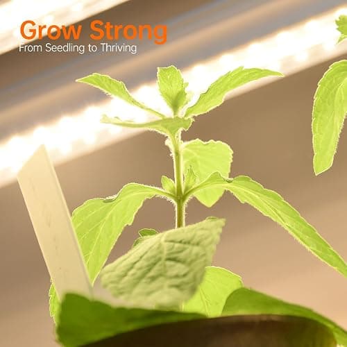 Bstrip Plant Shelf with Grow Light with Timer, Tall Plant Stand with Adjustable Rack and Wheels, 6 Pack T5 3FT Full Spectrum Grow Lights for Indoor Plants, Seed Starting, Seed Tray, 35.4"x13.8"x70.8" thumbnail 8