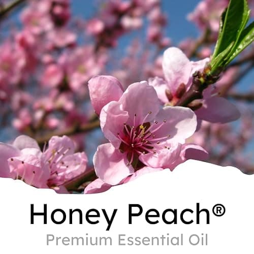 Air Jungles Honey Peach Scent Car Air Freshener Clip, 6 Vent Clips, 4ml Each, Long Lasting Air Freshener, Up to 180 Days Car Refresher Odor Eliminator - Honey Peach - 6 Count (Pack of 1) thumbnail 2