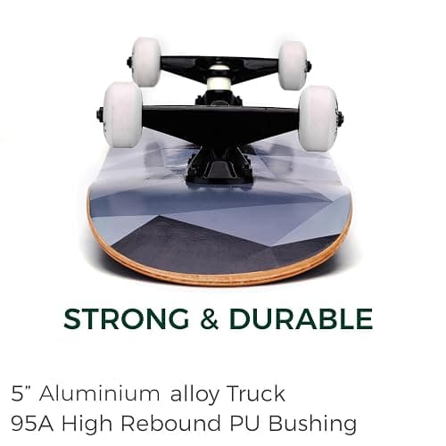 WhiteFang Skateboards for Beginners, Complete Skateboard 31 x 7.88, 7 Layer Canadian Maple Double Kick Concave Standard and Tricks Skateboards for Kids and Beginners thumbnail 5