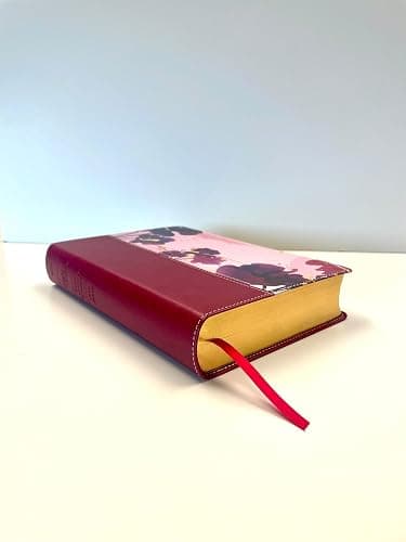 Santa Biblia NTV, Edición personal, letra grande (SentiPiel, Jardín morado, Índice) (Spanish Edition) thumbnail 10