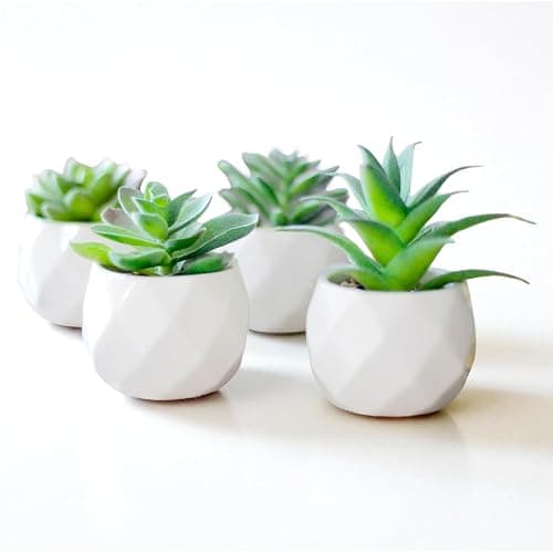 GRIFTO Fake Plants Set of 4 Artificial Plants Indoor Mini Ceramic Pot Faux Succulent Plant Foliage for Coffee Table Home Bedroom Bathroom Room Decor Shelf Office Desk Kitchen Garden Indoor Outdoor - Image 1