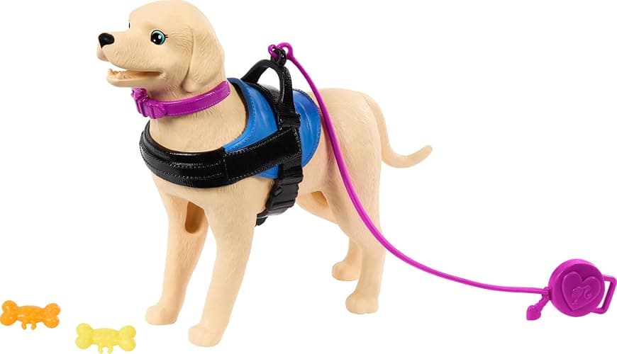 Barbie Doll & Playset with Service Dog, Pink Wheelchair, Ramp & Accessories, Brunette Fashion Doll in Removable Outfit thumbnail 5