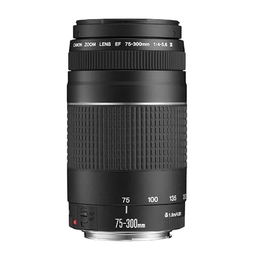 Canon EF 75-300mm F4.0-5.6 III Zoomobjektiv (58mm Filtergewinde) schwarz thumbnail 4