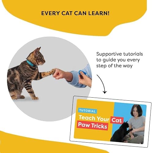 Cat Training Clicker with Detachable Wearable Finger Clicker & Target Stick – Positive Reinforcement Training Tool for Cats – Ideal for Behavior, Tricks & Enrichment thumbnail 8