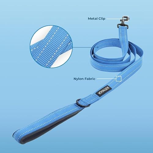 Best Pet Supplies Voyager Reflective Dog Leash or Collar with Neoprene Handle, for Small, Medium, and Large Breed Puppies, Cute and Heavy Duty for Walking, Running and Training - Baby Blue (Leash), S thumbnail 2
