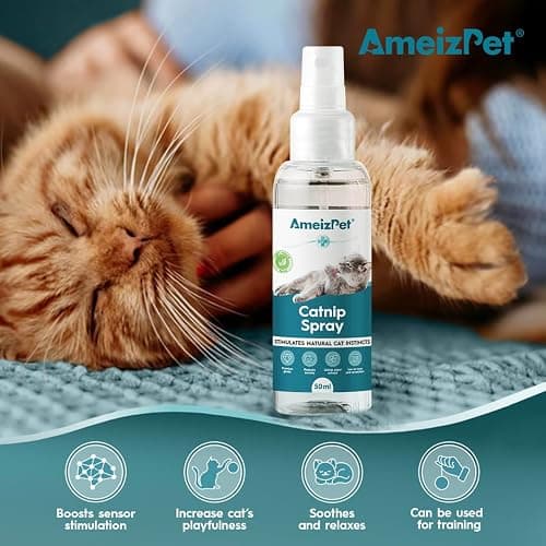 AmeizPet Catnip Spray for Cats, Cat Scratching Sprays, Transparent Cat & Kitten Behaviour Spray 50 ml (1.69 Oz) thumbnail 2