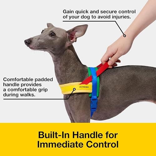 VETRESKA MoMA Dog Harness for Medium Large Dogs, Easy Walk Dog Harness and Leash Set, No Pull Dog Vest Harness for Walking and Training, Adjustable, Take Control & Anti-Twist Pet Lead Combo(Yellow, M) thumbnail 2