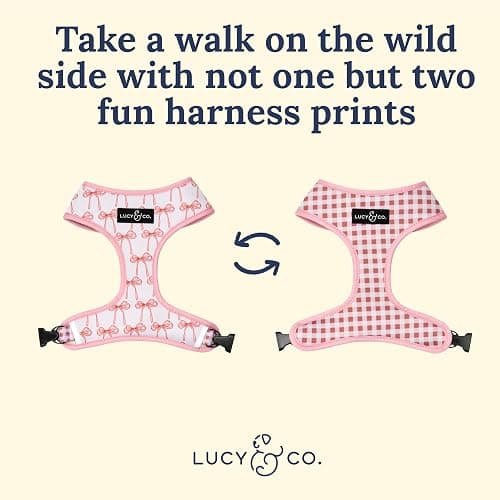 Lucy & Co. Cute Reversible Dog Harness Walking Halter - Best Designer Pet Harnesses for XS - XL Dogs - Padded Adjustable Vest for Easy Walking (X-Small, Ballet Bows - White & Pink Bows) thumbnail 3