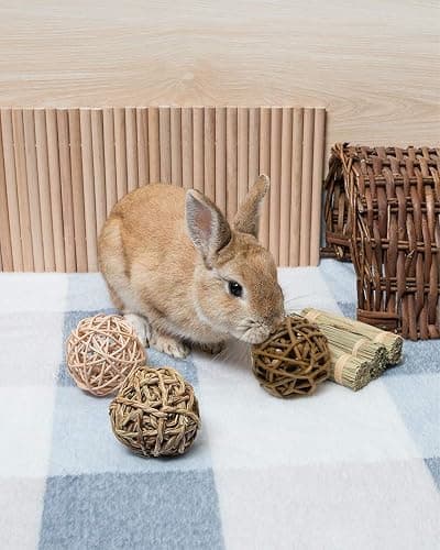 Small Animals Play Balls, Chew Grass Balls & Rolling Chew Toys for Bunny, Chinchilla, Guinea Pigs, Hamsters, Gerbils, Rats, Mice Bring Energy to Pets thumbnail 2
