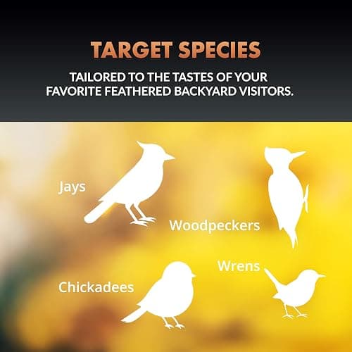 Newhouse Pet DIY Wooden Birdhouse Kit NHP-DIYH-SQ, Easy-to-Build DIY Birdhouse Kit for Kids, Arts and Crafts for Adults and Kids, Bird House for Outside with Weather-Resistant Acrylic Paints thumbnail 7