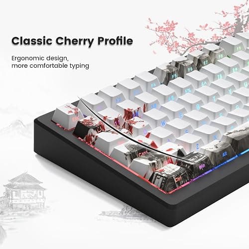 Womier PBT Keycaps Set 130 Keys, Custom White Japanese Keyboard Doubleshot Dye Sub Side Print Shine Through Keycaps 60 65 75 100 Percent, Cherry Profile, Cherry Blossom thumbnail 4