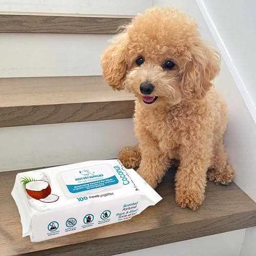 Best Pet Supplies Pet Wipes for Dogs - Dog Wipes Cleaning Deodorizing, for Coats, Ears, Paws - Moisturizing, Coconut, 100 Count thumbnail 6