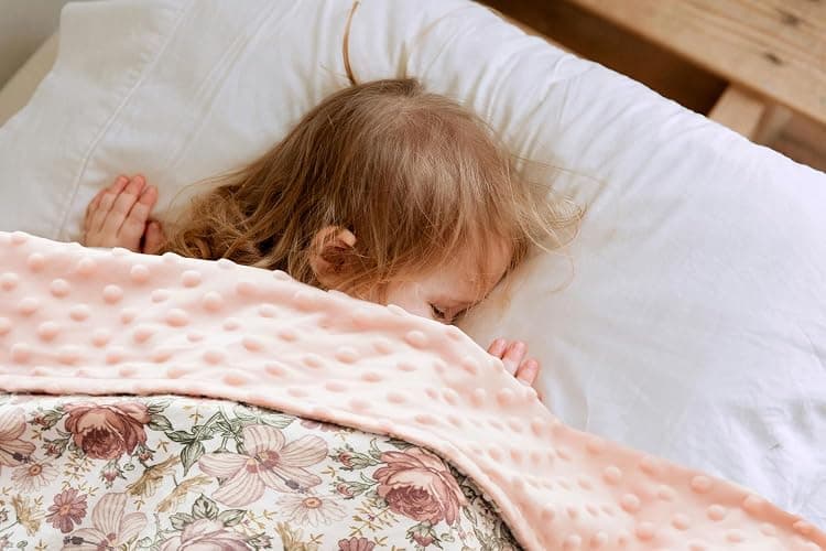 Baby Blankets for Unisex Boys Girls, Soft Plush Minky Blanket with Double Layer Dotted Backing for Infant Newborn Toddler, Vintage Floral Western Wild Flowers 30 x 40 Inch (Vintage Floral) thumbnail 3