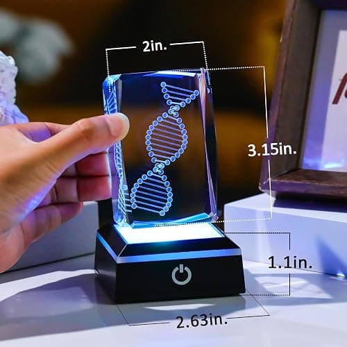 Movdyka 3D Crystal DNA Model with Color-Changing LED Base - Unique Science Gift for Teachers, Biology Lovers | Science Classroom Decor, Lab Decor & LED Art thumbnail 2