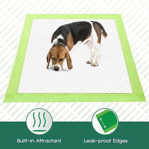 CROCI Puppy Pads 28x34in ECO Green Dog Pee Pads , Plant-Based Dogs Pads Absorbs Up to 7 Cups of Liquid, 5-Layer Leak-Proof & Quick Drying Pee Pads for Dogs, Disposable (40 Counts) thumbnail 7