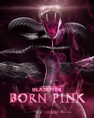 BLACKPINK BORN PINK 2nd Album BOX SET Version CD+Photobook+Accordion Lyrics Paper+Large Photocard+Postcard+Instant Film+Selfie Photocard+Tracking (PINK Version) thumbnail 8