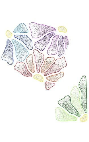Jovi FELT PEN, Marqueur à trait fin, pointe fine, étui de 12 couleurs | Pointe de 2 mm thumbnail 5