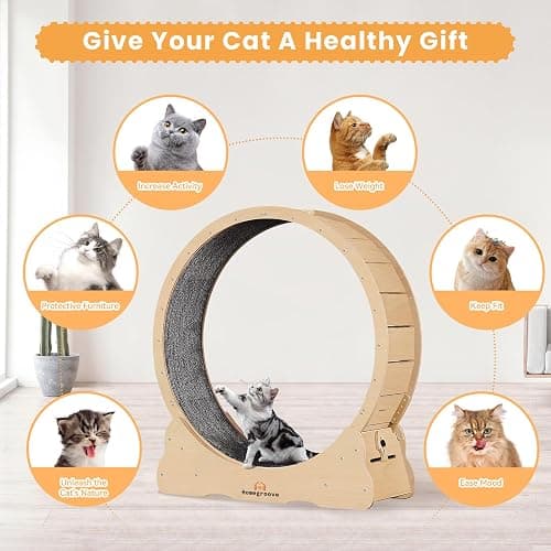 Homegroove Cat Exercise Wheel for Indoor Cats, 46" Large XL Cat Running Treadmill Wheel with Carpeted Runway for Kitty’s Longer Life, Natural Wood Color(XL) thumbnail 7