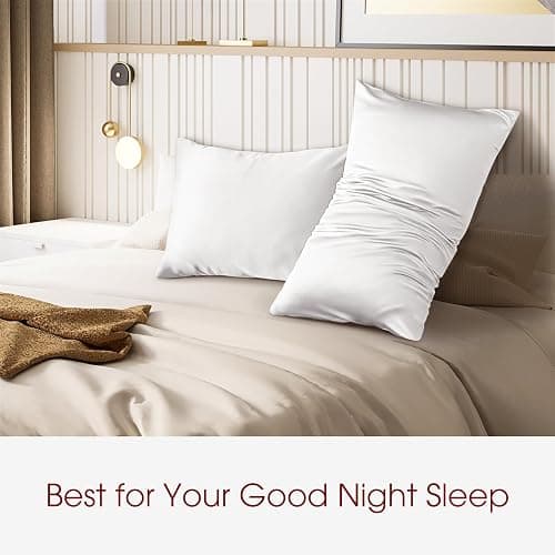 WLOSJ 100% Silk Pillow Cases 2 Pack Queen Size Mulberry Silk Pillowcase for Hair and Skin Set of 2 Highest Grade 6A Silk Soft Breathable Cooling with Hidden Zipper, White thumbnail 6