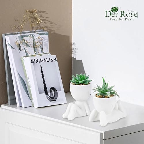 Der Rose 2 Pack Fake Plants in White Pots with Face Decals for Desk Decor | Customizable face stickers, playful sculptural planters,suitable for office desk bathroom shelf bedroom decor thumbnail 2
