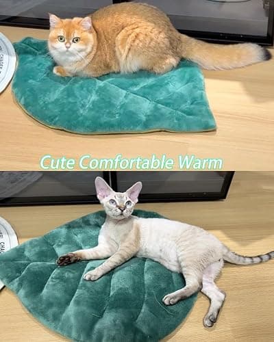 Rzxlszy Cat Mat Self Warming Cat Bed 26"x20" Leaf Shaped Cotton Soft Warm Pet Pad Blanket for Indoor Bed Couch Sofa Floors Cat and Dog Warm Mattress (Green) thumbnail 8