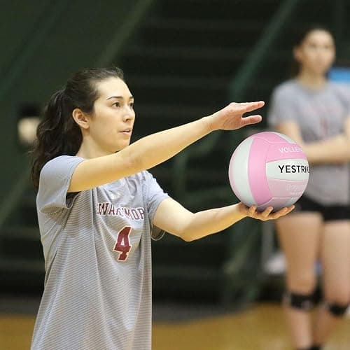 YeStrikeX Official Size 5 Glow in The Dark Volleyball, Fluorescent Light Night Volleyball Soft Indoor Outdoor Volleyball Gift Luminous Night Light Ball for Game Gym Training Beach Play with Pump Kit thumbnail 6