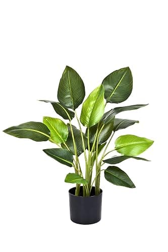 GreenBrokers Artificial Real Touch Bird of Paradise (Strelitzia) Plant in Black Pot Ideal for Home, Office, Indoor Outdoor Living 78cm/30in - Image 1