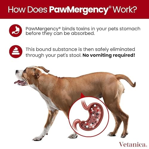 Vetanica PawMergency – Activated Charcoal First Aid Kit Emergency Rescue 2 Pack for Dogs, Cats, Puppy & Pet Poison Kit, Camping Survival Remedy Essential, Oral Anti Diarrhea Digestive Absorb Toxins thumbnail 6