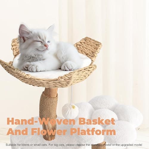 Modern Cat Tree, Wood Cat Tree Tower for Small Cats, Luxury Cat Condo with Scratching Posts and Flower Platforms, Cat Furniture by Easyego thumbnail 5
