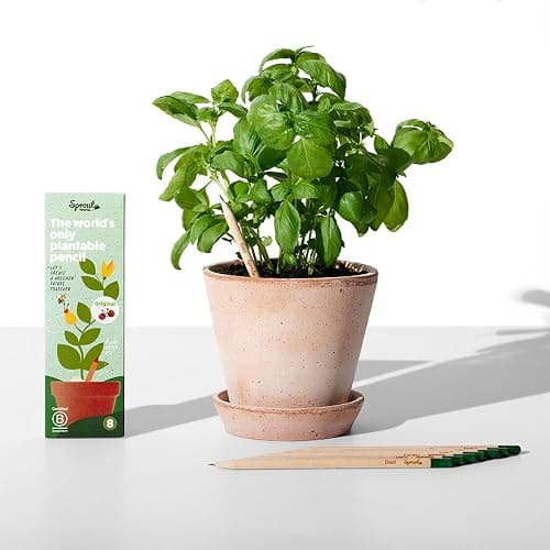 SproutWorld Plantable Pencils 8 Pack | HB Pre-Sharpened Wood-Cased Graphite with Flower, Herb & Vegetable Seeds | Eco-Friendly Gift for Drawing, Sketching & Shading | Original Edition thumbnail 2