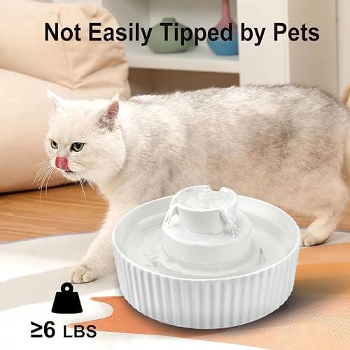 Lawfery Ceramic Cat Water Fountain, 2.1L/71oz Cupcake Pet Fountain | 3 Carbon Filters, 2 Quiet Pumps, Heavy Ceramic Body, and 360° Drinking Area, Drinking Bowl for Indoor Cats and Small Dogs thumbnail 7