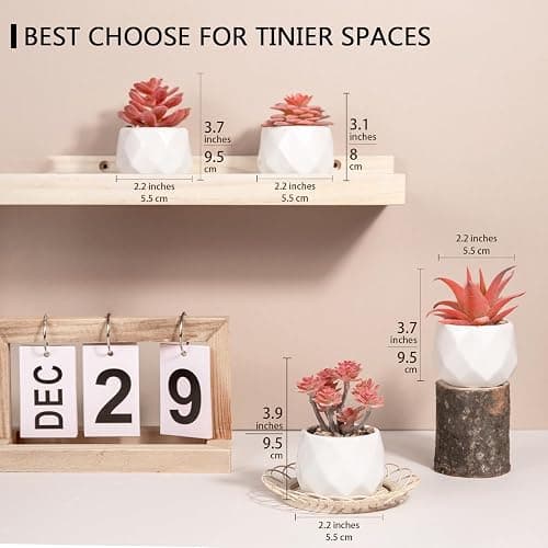 VIVERIE Mini Succulents Plants Artificial in Pots-Rose Pink, Christmas Small Fake Succulents Plants for Home Halloween Decor Indoor for Women, White Ceramic, Set of 4, Gifts for Mom thumbnail 3