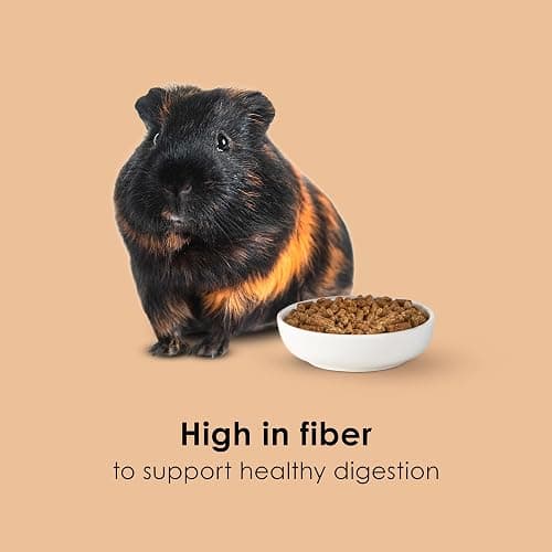 Kaytee Timothy Complete Guinea Pig Food with Timothy Hay, 9.5 Pounds | Supports digestion. Pelleted food for guinea pigs. guinea pig pellets, vitamin C, probiotics thumbnail 5