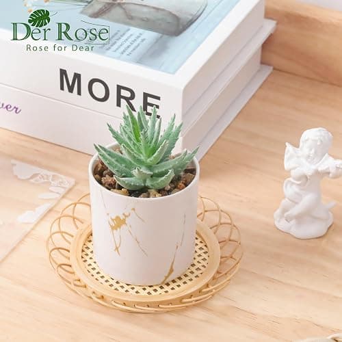Der Rose Set of 2 Succulents Plants Artificial Mini Fake Succulents Plants for Home Office Desk Accessories for Women thumbnail 2