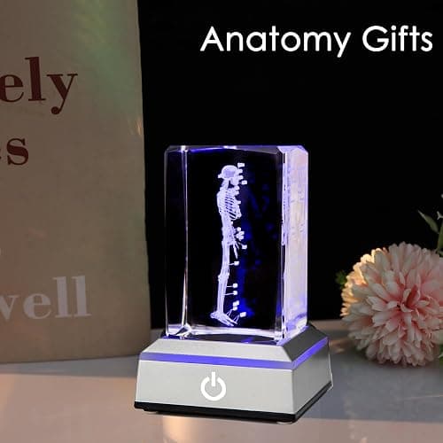 IFOLAINA 3D Human Skeleton Model Anatomy Gifts Crystal Labeled Skeleton Model Medical Figurines Bone Doctor Stuff Named Laser Engraved Gift for Med Biology Students thumbnail 5