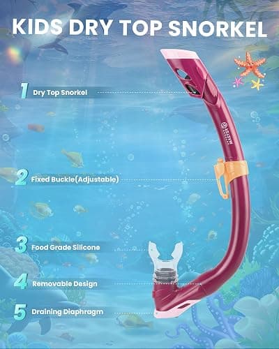 **Evie Pick leftover from birthday*** Snorkel thumbnail 5