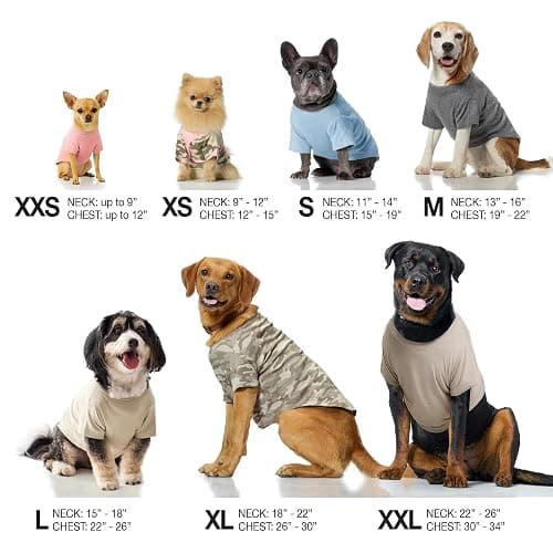 Pet Passion Toby II - The Perfect Tee, 3 Pack Short Sleeve Pet T-Shirt 100% Organic Cotton Tees Clothes for Small, Medium, Large Dogs​​, Gray Ombre, Medium (20-45 lbs) thumbnail 7