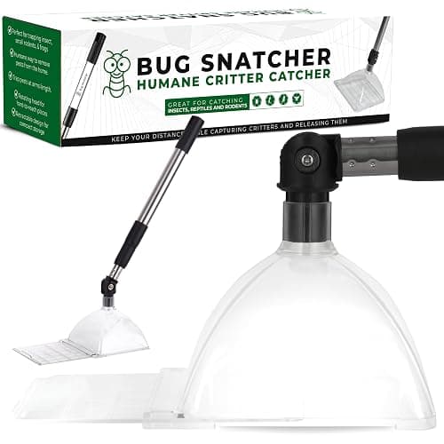 Bug Catcher Container & Extendable Stainless Steel Stick | See-Through Insect Trap for Spiders, Ants, Lizards | Humane Bug Catcher for Home | Educational Tool for Kids & Adults - Image 1