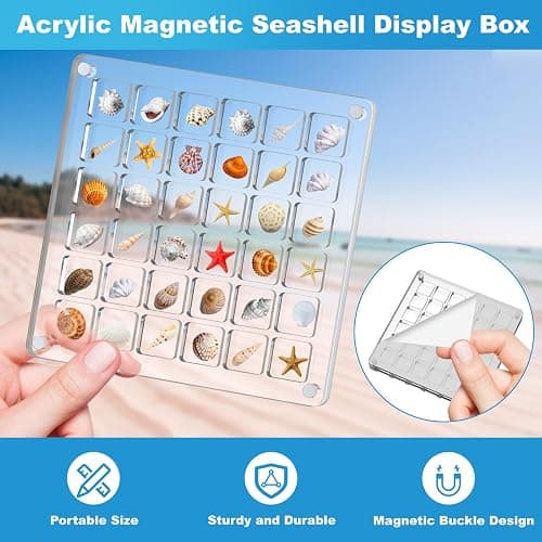 XANGNIER Acrylic Magnetic Seashell Display Box,Clear Sea Shell Display Box,Beach Magnet Storage Organizer Case for Seashell Diamond Beads,36 Grids,Transparent,1 Pack thumbnail 4