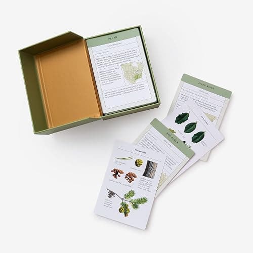 Sibley Tree Identification Flashcards: 100 Trees of North America thumbnail 3