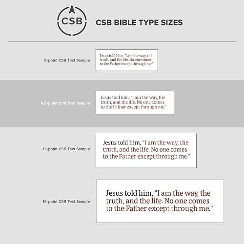 CSB Notetaking Bible, Large Print Hosanna Revival Edition, Blush Cloth Over Board, Black Letter, Single-Column, Journaling Space, Reading Plan, Easy-to-Read Bible Serif Type thumbnail 7